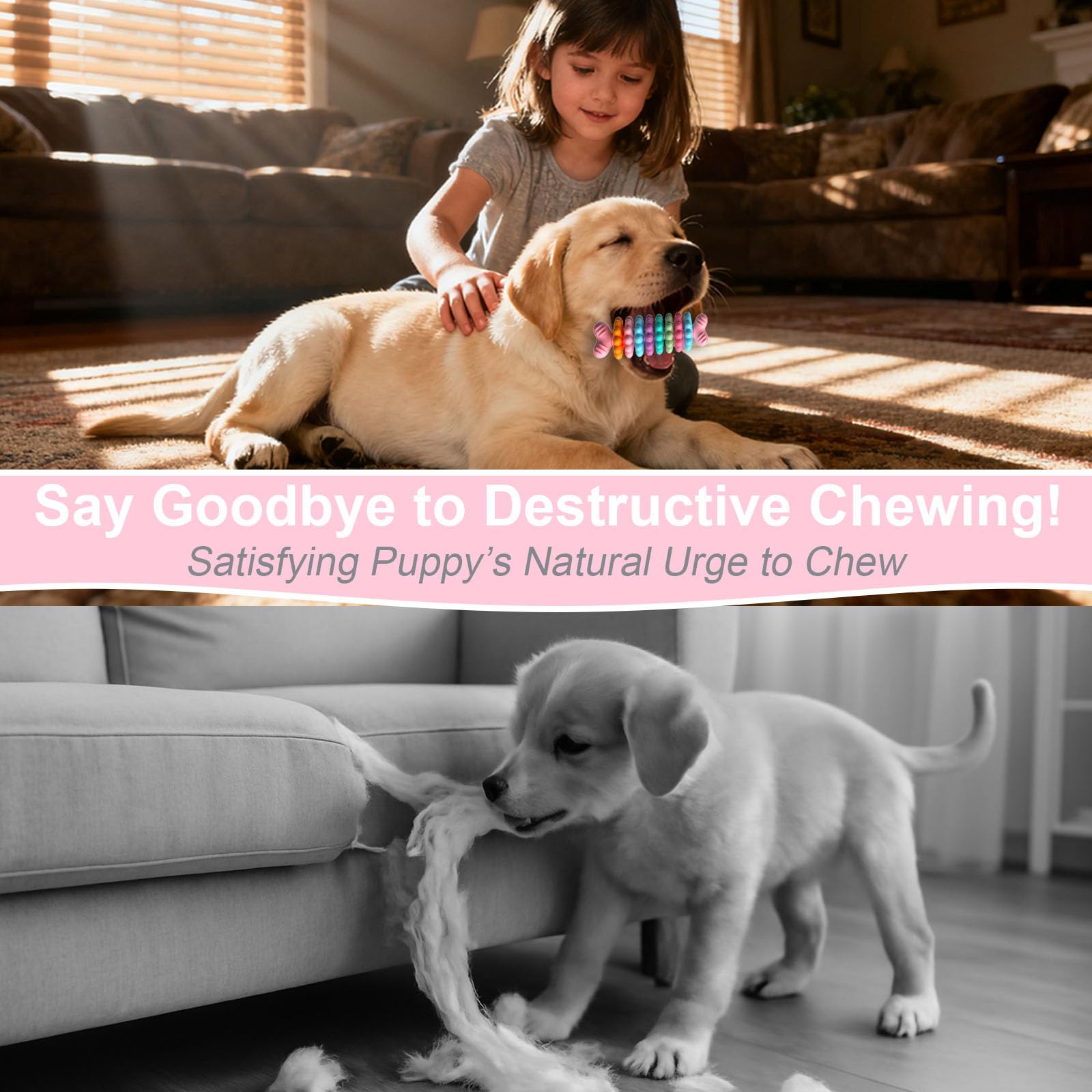 HORIBND toy designed for small and medium breeds during playful sessions.