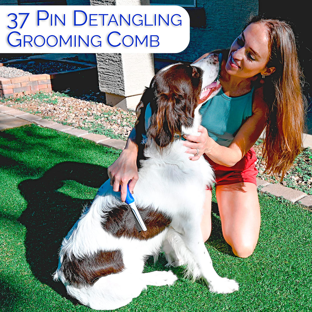 Horicon Pet dog-coat-care-session demonstrates an efficient home grooming routine.