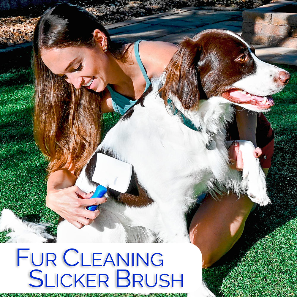 Horicon Pet soft-bristles-closeup highlights gentle grooming for sensitive skin.