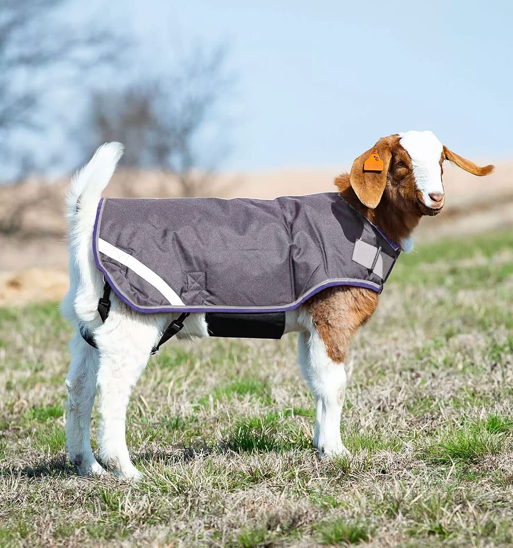 Horseware goat coat adjustable closure ensures secure, rub-free fit.