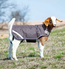 Horseware goat coat adjustable closure ensures secure, rub-free fit.