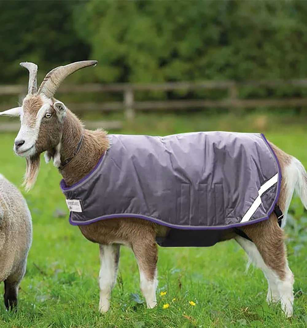 Horseware goat coat breathable 100g fill helps regulate warmth on cool days.