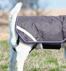 Horseware goat coat reflective strips improve visibility during dusk chores.
