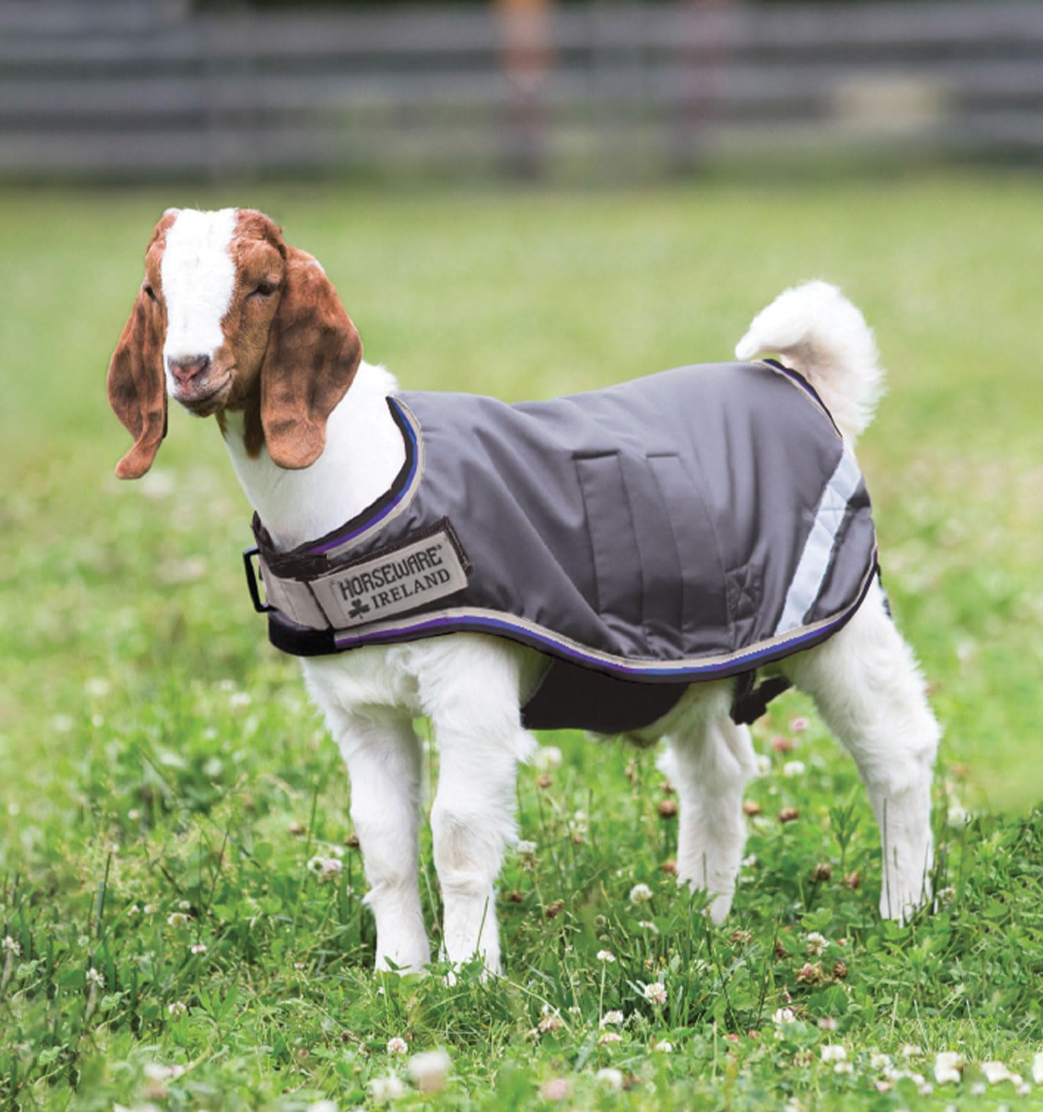 Horseware goat coat waterproof 600D outer protects goats from rain and mud.
