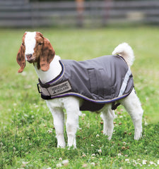 Horseware goat coat waterproof 600D outer protects goats from rain and mud.