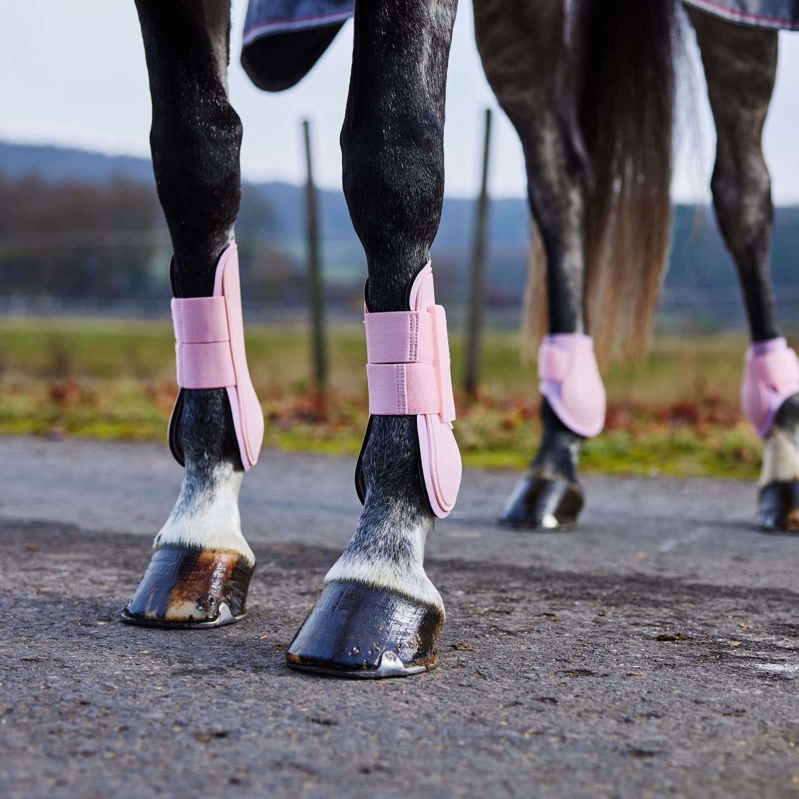 HORZE Chicago tendon boots side profile reinforces leg protection during trail riding