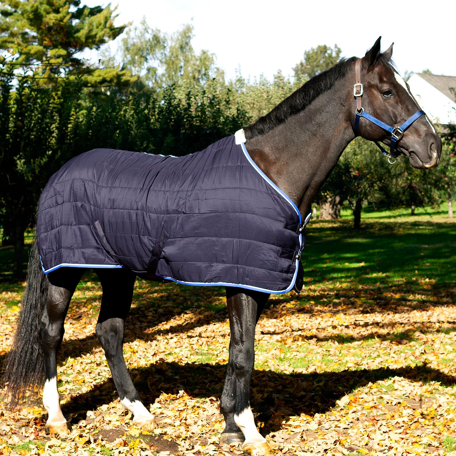 HORZE Glasgow withers-faux-fur provides comfort and rub protection.