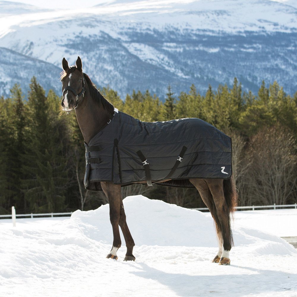 HORZE Nevada lightweight stable blanket front buckles for quick secure fit