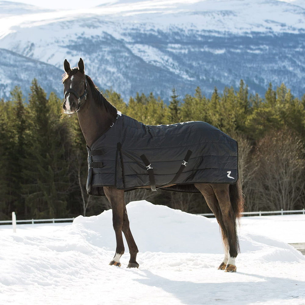 HORZE Nevada blanket with shoulder gussets for unrestricted movement in stall
