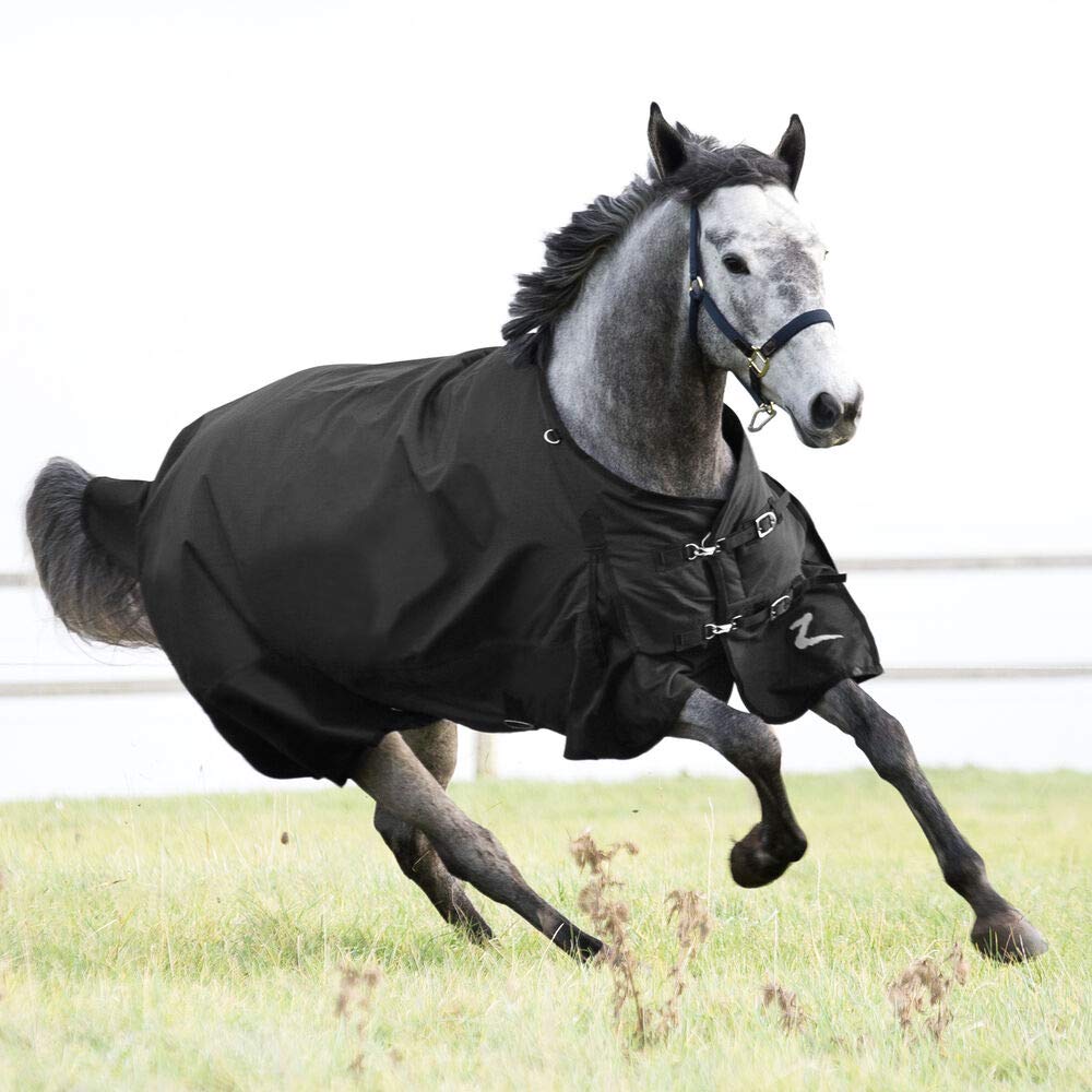 HORZE Nevada turnout blanket shoulder gussets enhance movement and reduce chafing