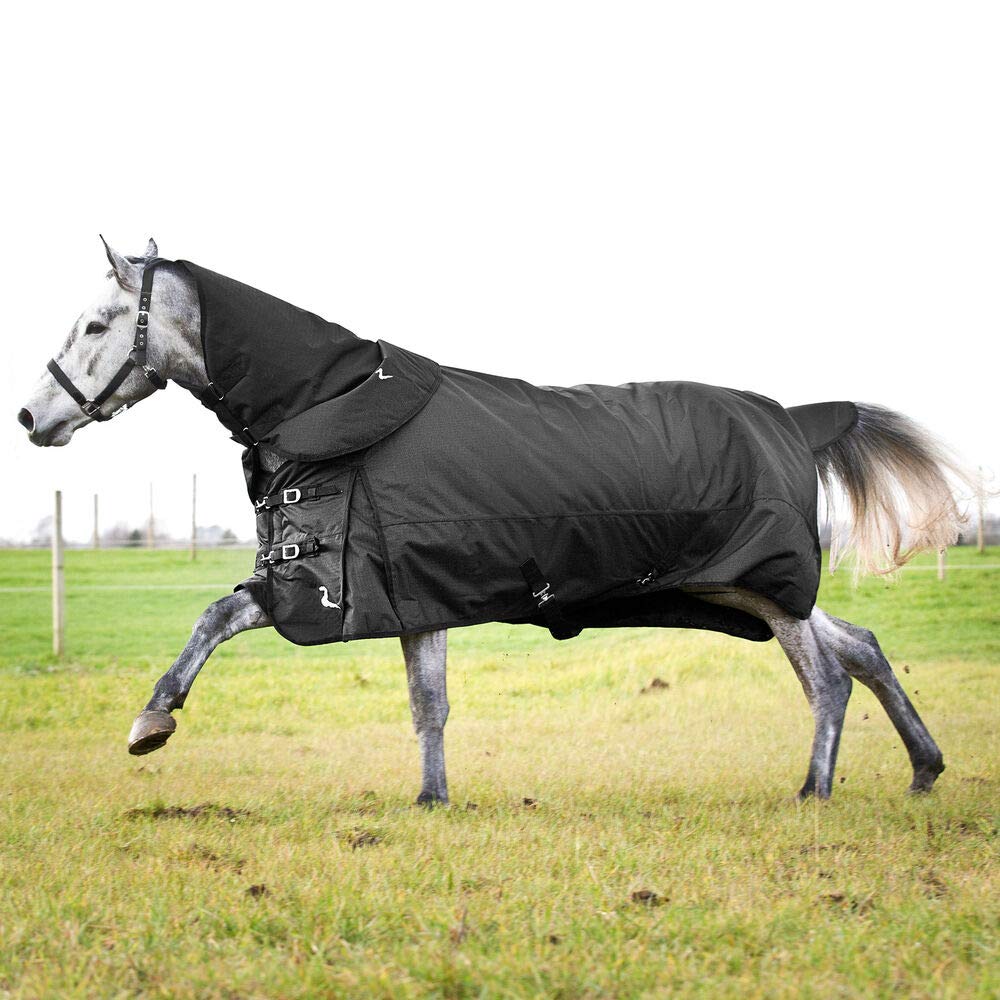 HORZE Nevada turnout blanket waterproof shell protects against rain and wind