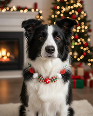 Hosiwei adjustable dog collar demonstrates comfy fit from 14 to 18 inches