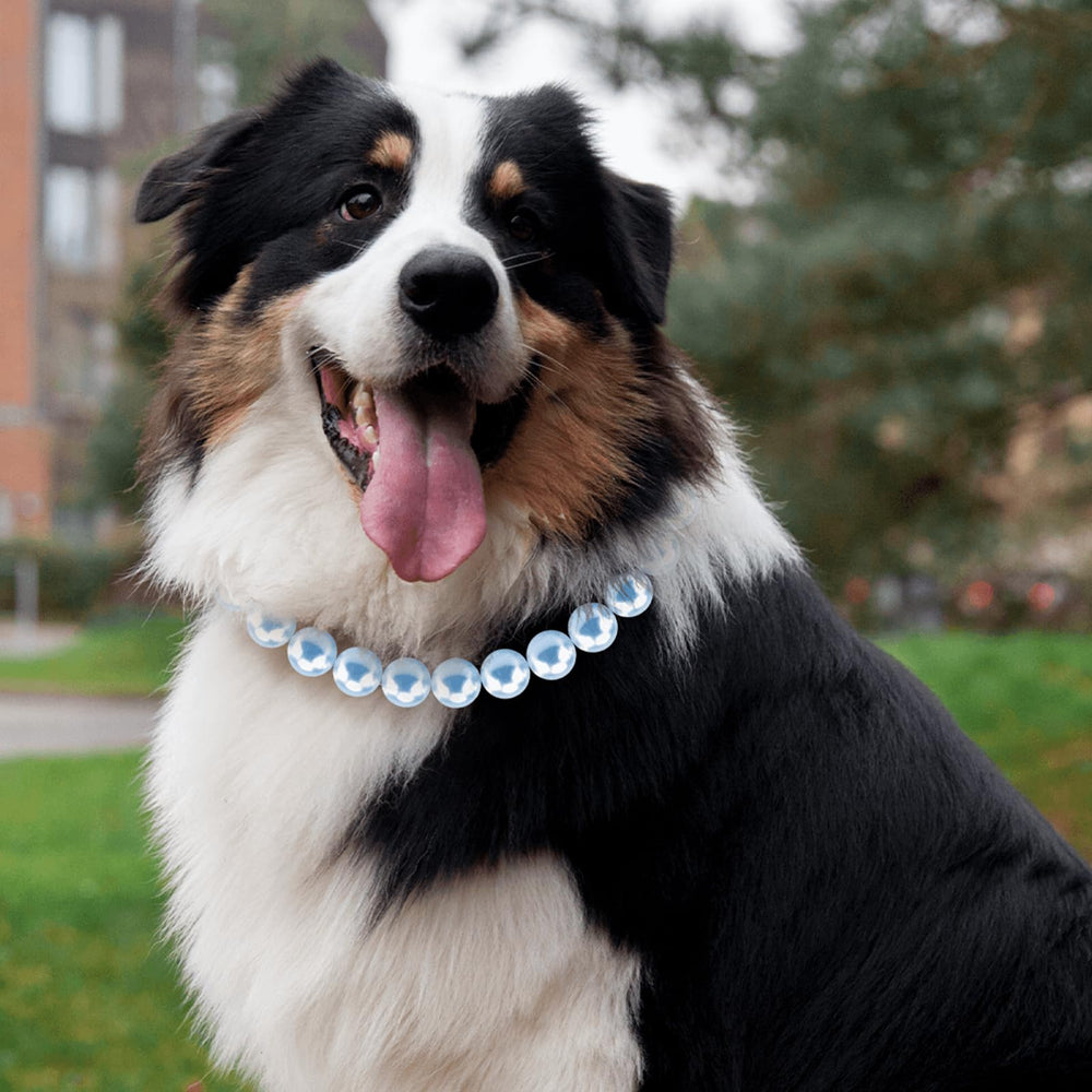 Hosiwei pearl collar worn during walks and events for style