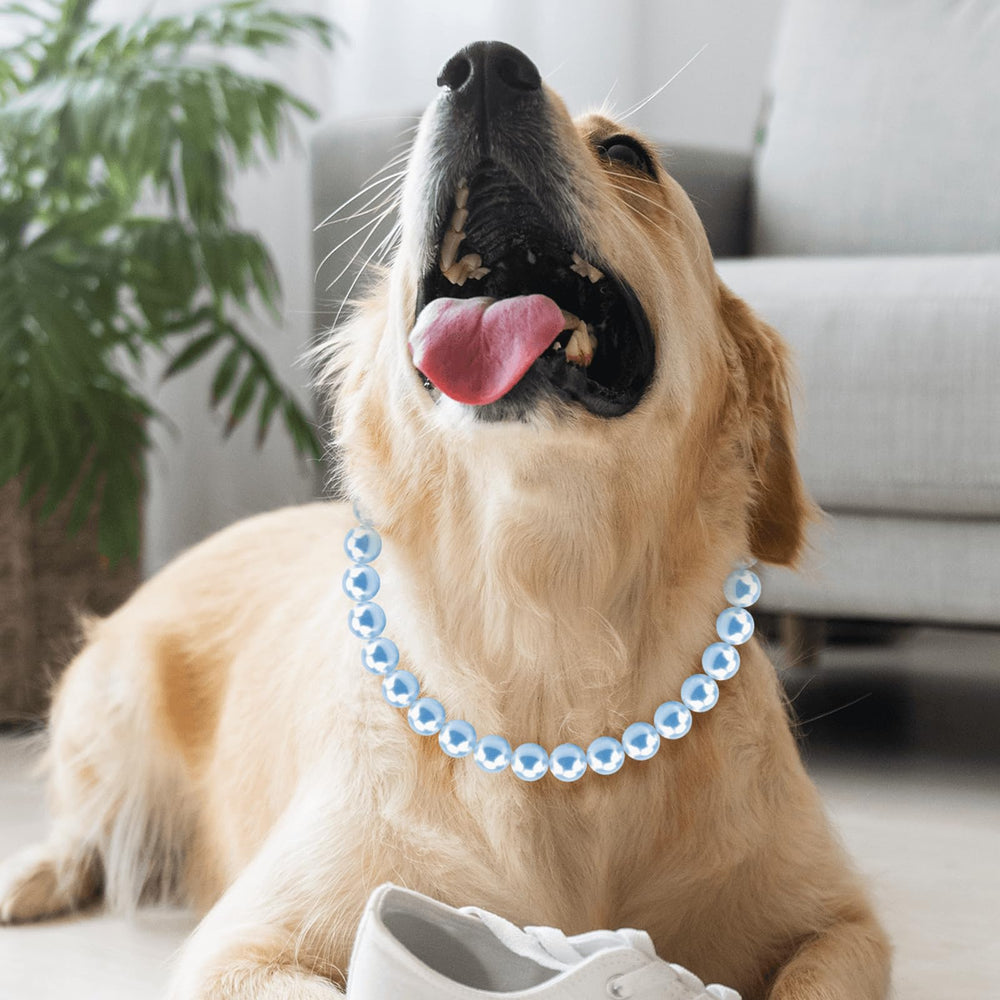 Hosiwei gift-ready pet jewellery perfect for dog-loving celebrations