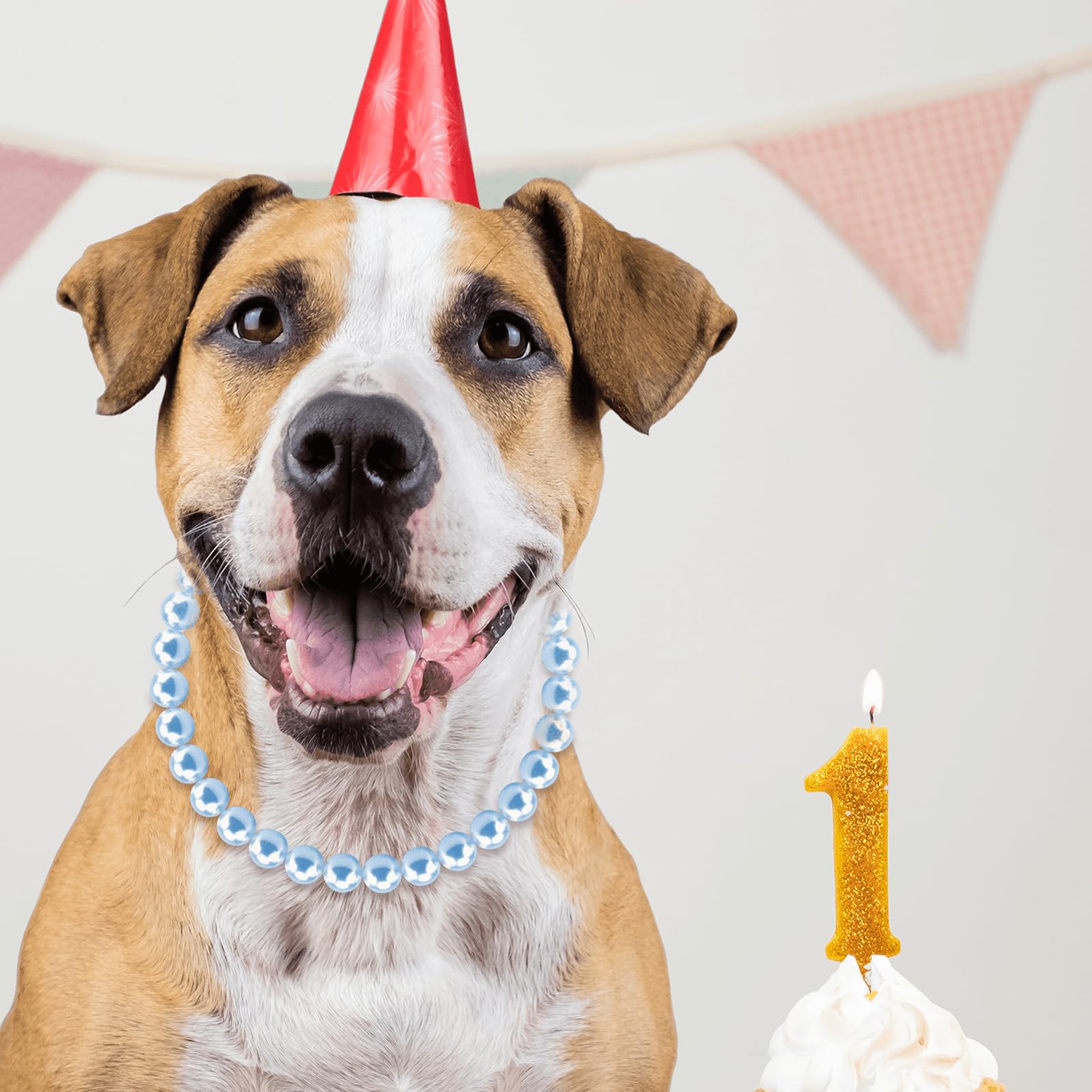 Hosiwei large-dog fashion accessory elevates your dog’s party or photo look