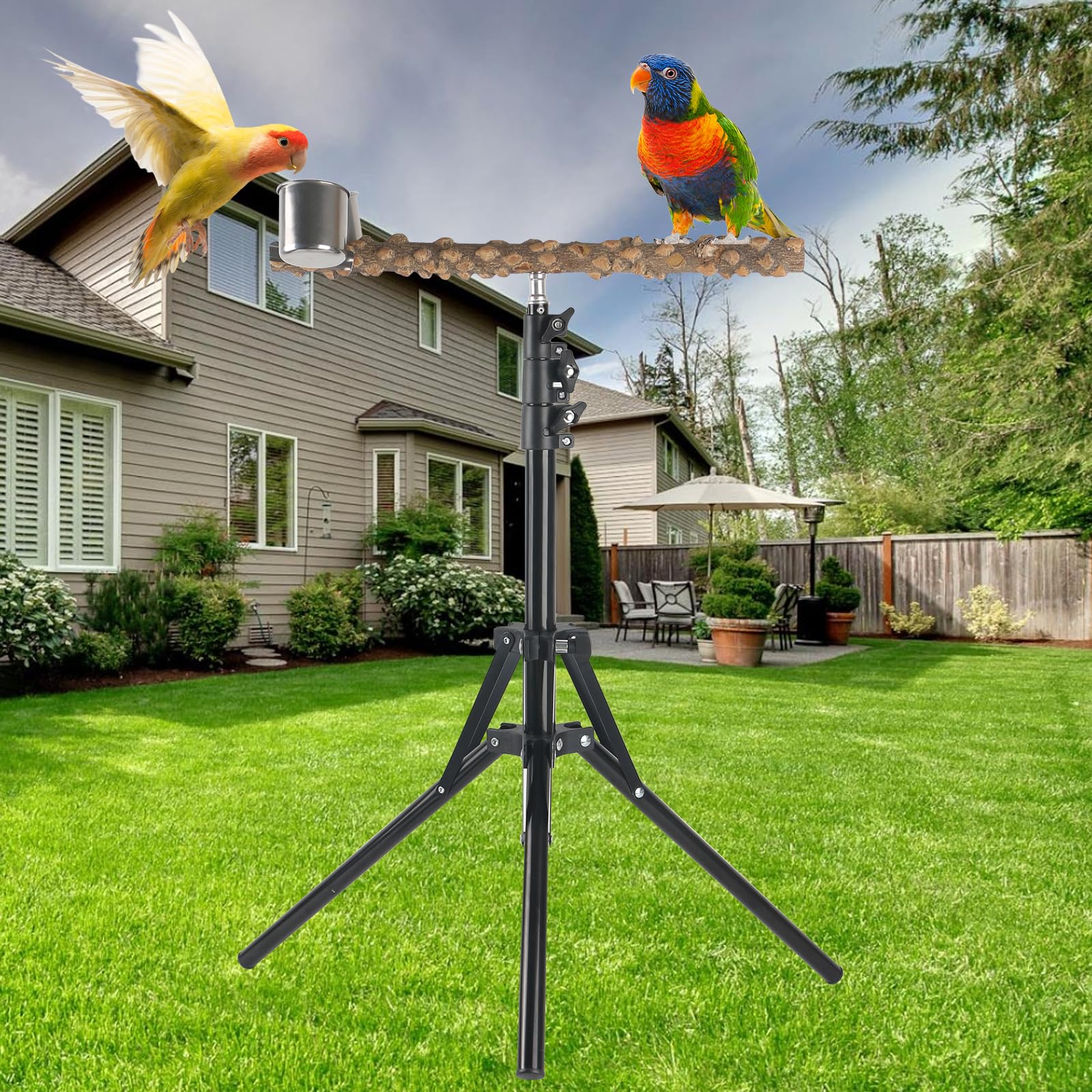 HOSUKKO pepper wood branches offer grip and safe chewing for birds