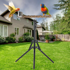 HOSUKKO pepper wood branches offer grip and safe chewing for birds