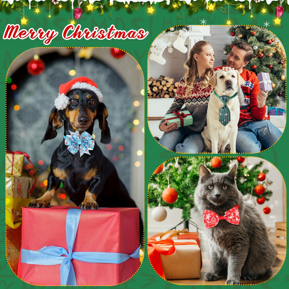 Hosuly party-ready collars ideal for holiday photos and events
