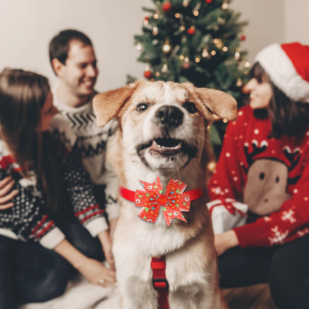 Hosuly varied-pattern Christmas dog collars showcase festive styles