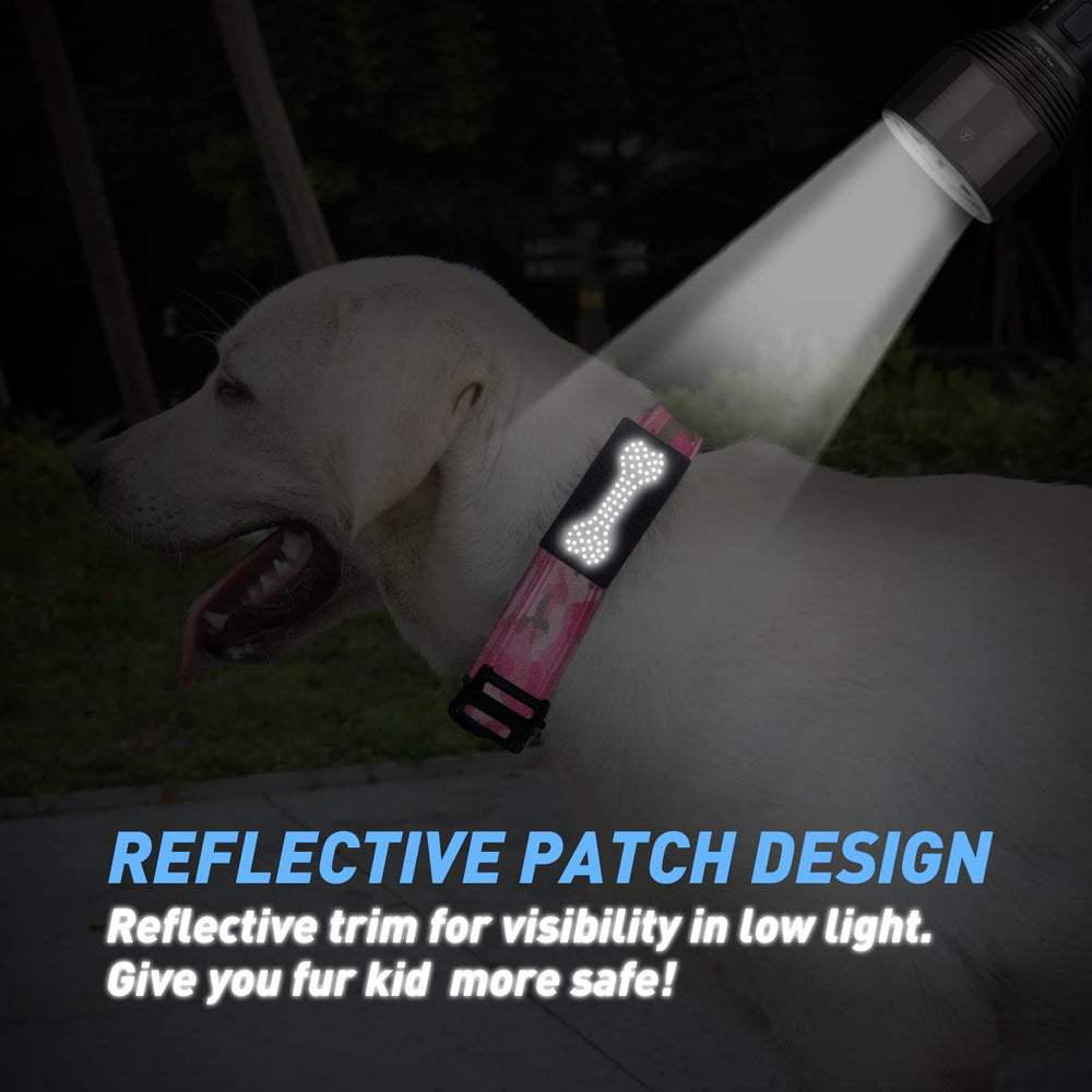 Hotsky control handle image shows intuitive training and responsive guidance.