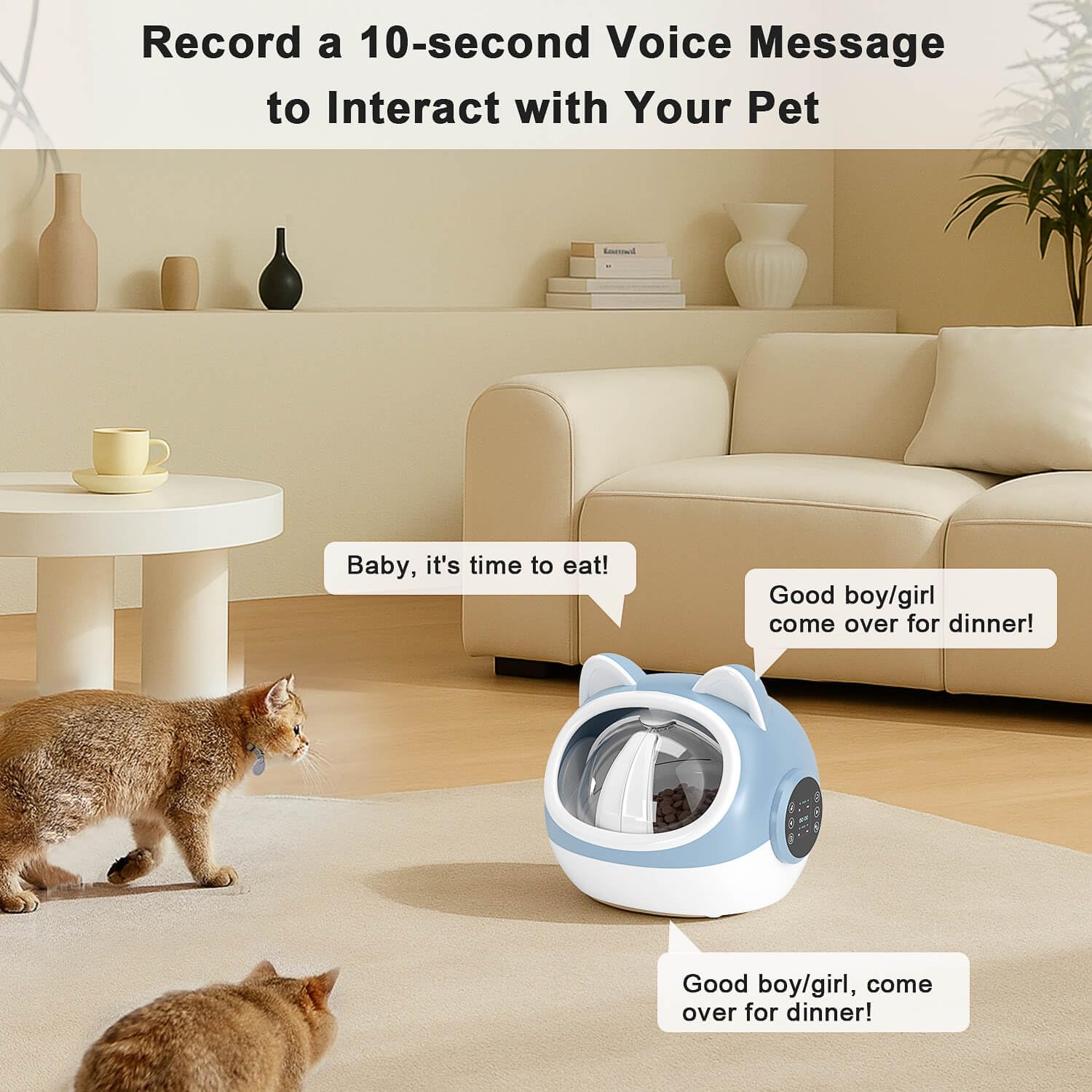 HotSoul RFID smart pet feeder lid action demonstrating automatic access control for registered pets.
