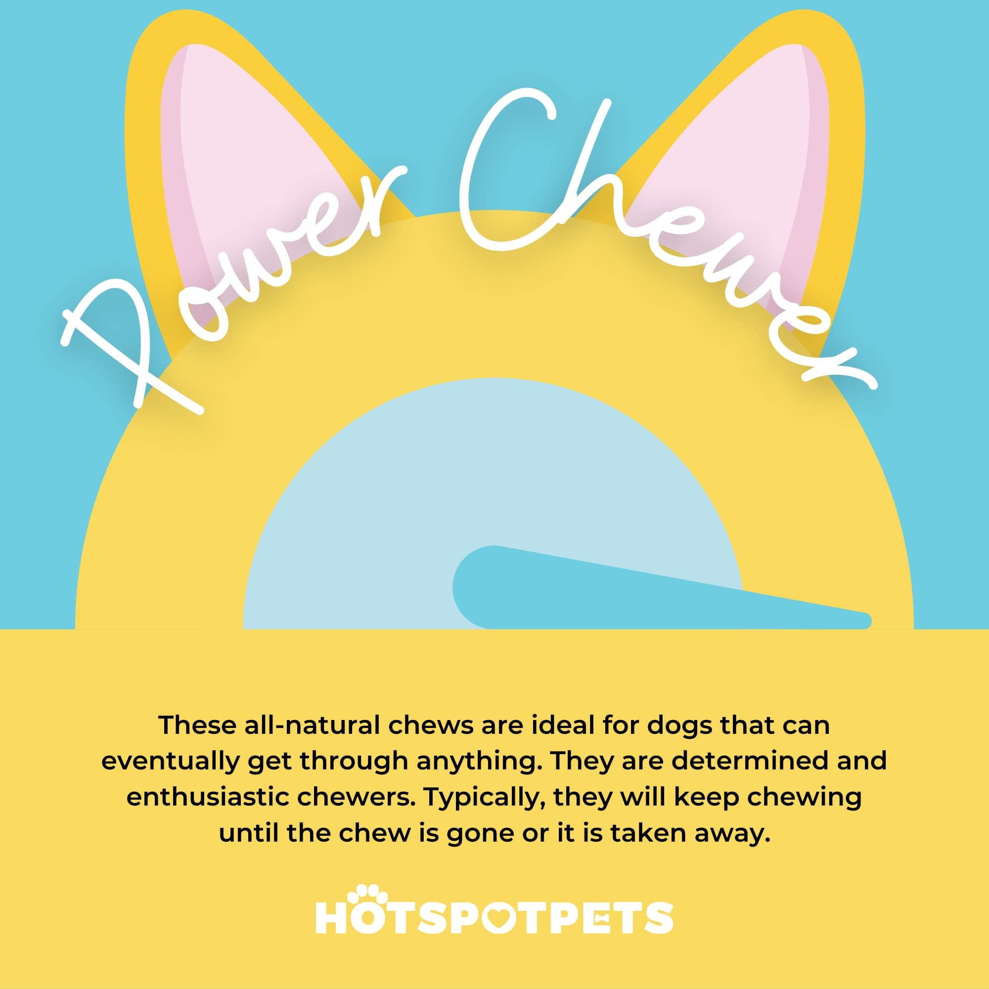 Hotspot Pets beef knee caps dental benefit close-up, may support chewing-related oral care.