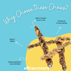Hotspot Pets braided bully sticks 12inch close-up chew showing natural texture.