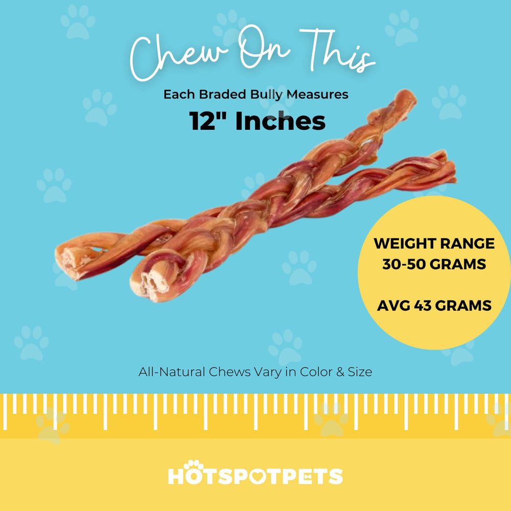Hotspot Pets braided bully sticks 12inch textured braid highlights chew surface.