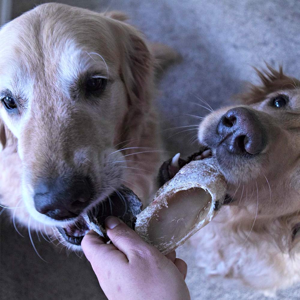 Hotspot Pets bulk-chews value savings on multi-pack cow hooves