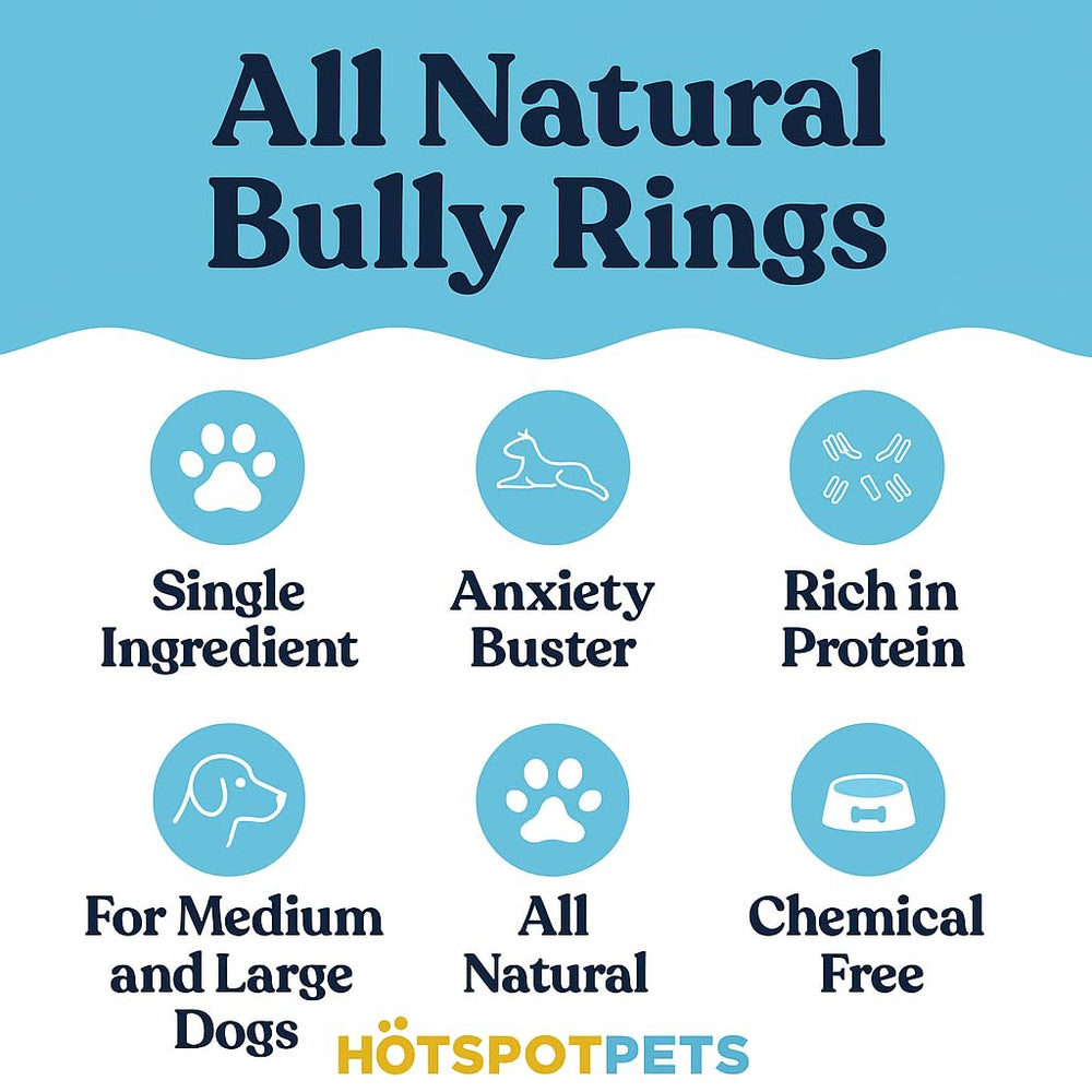 Hotspot Pets Bully Stick Rings 4-inch circle close-up highlighting natural beef pizzle.
