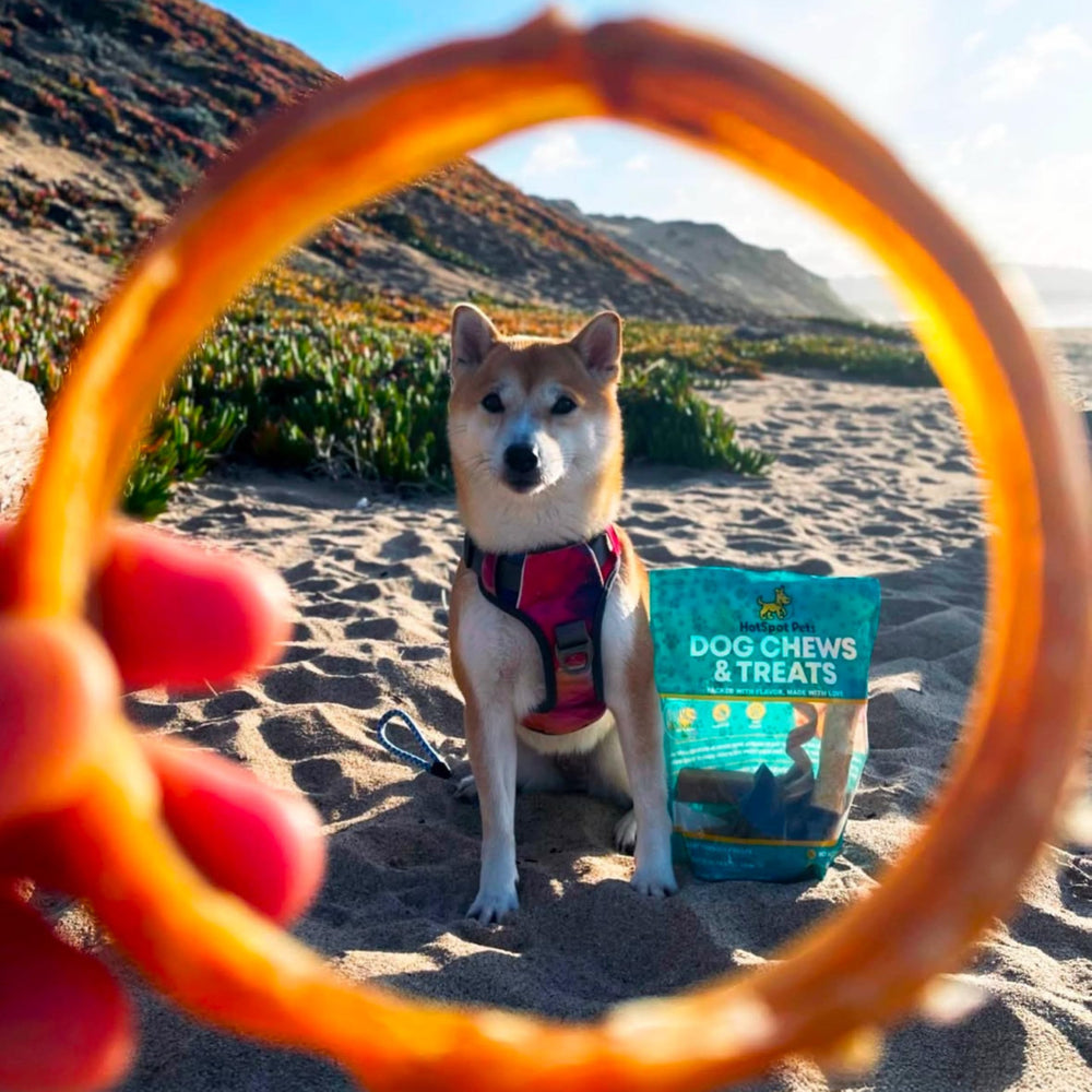 Hotspot Pets bully-stick rings grain-free formulation supports dogs with grain-free preferences