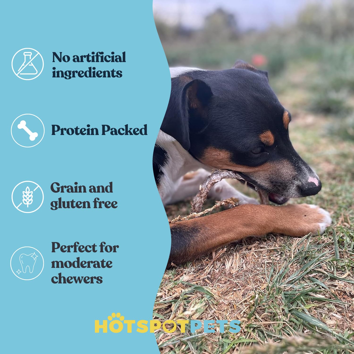 Hotspot Pets bully stick rings low-odor packaging appeals to households seeking cleaner chews