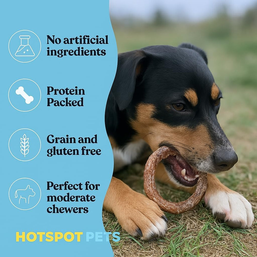 Hotspot Pets Bully Stick Rings ready-to-serve snack for interactive play.