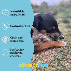Hotspot Pets Bully Stick Rings rawhide alternative—grain-free, digestible chew option for curious chewers.