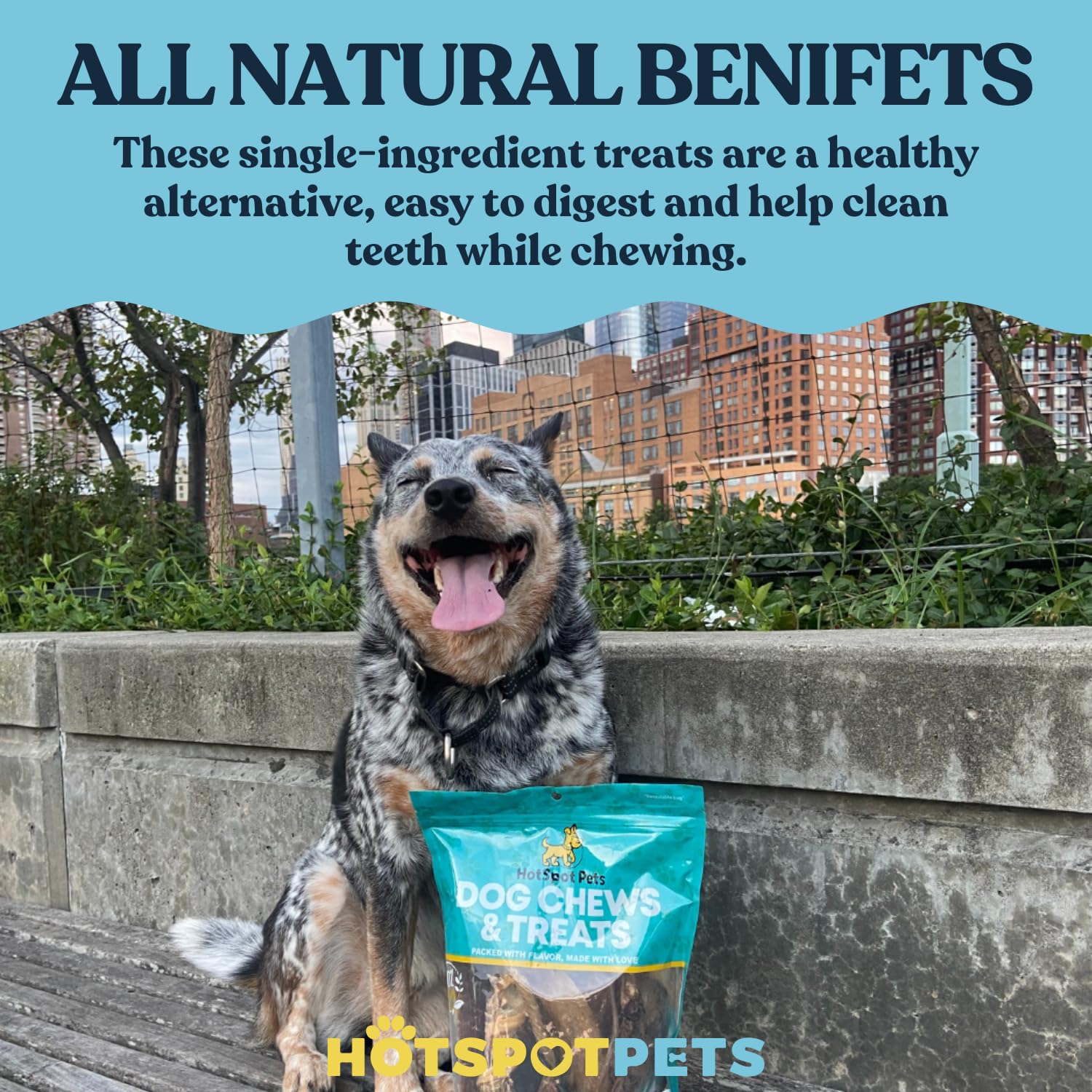 Hotspot Pets Bully Sticks long-lasting-chew image suggests extended reward time.