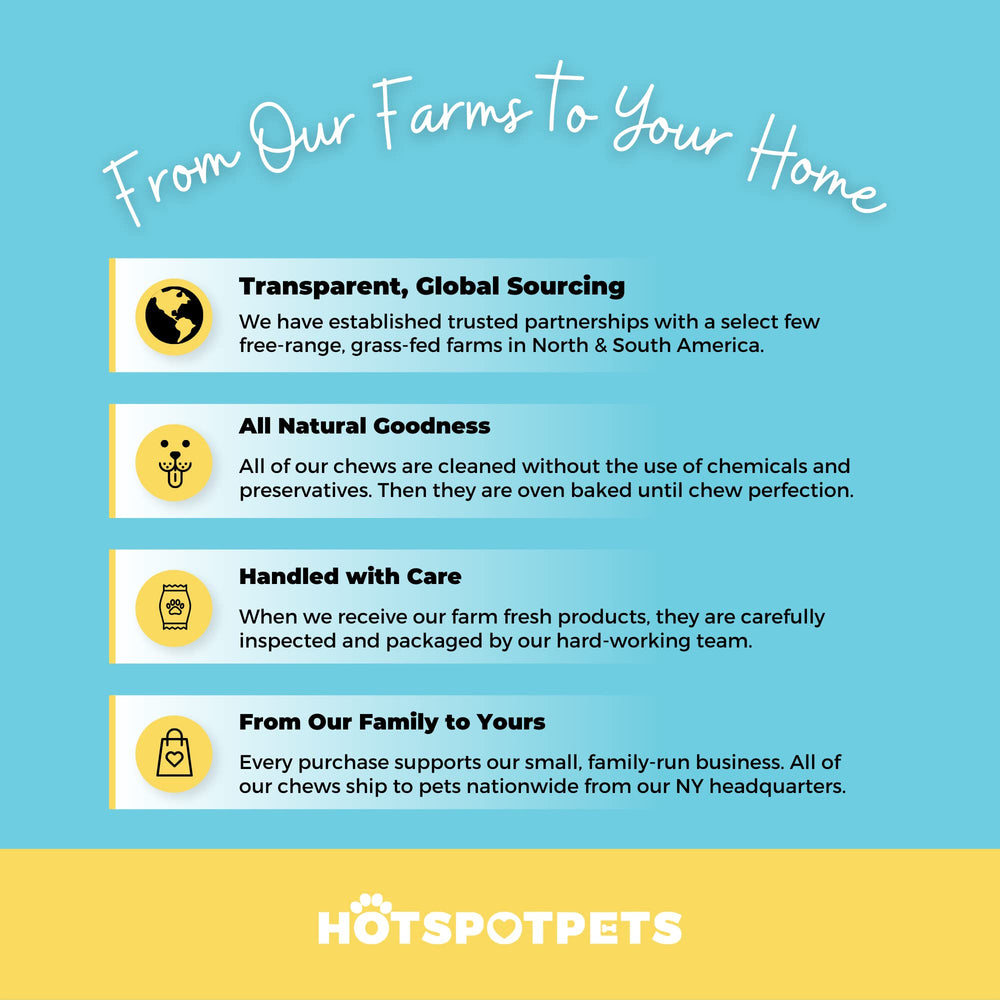 Hotspot Pets 12inch single-ingredient beef bully sticks for simple nutrition.