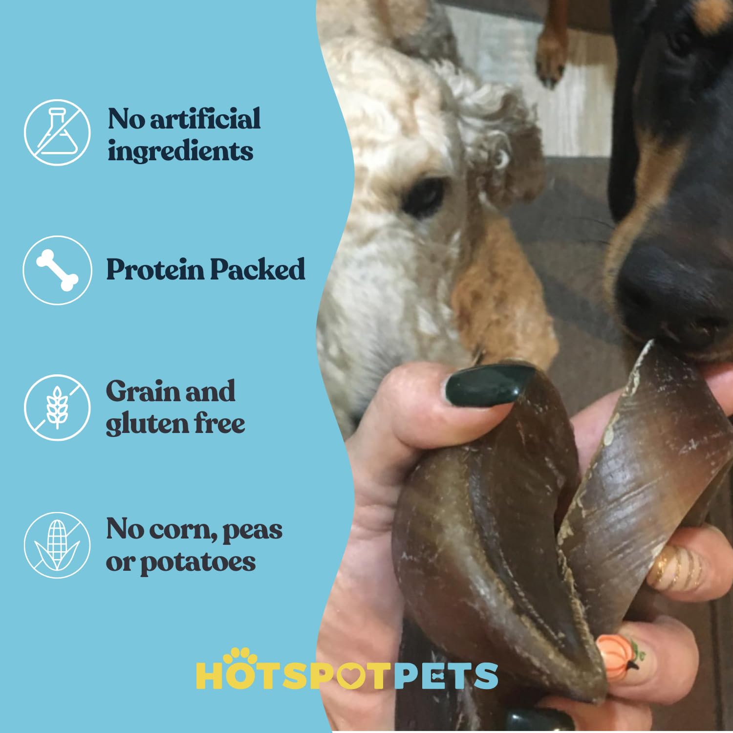 Hotspot Pets cow hooves for dogs bulk pack affordable chews