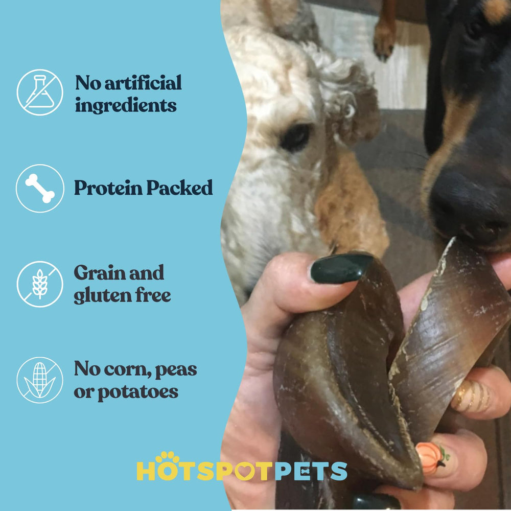 Hotspot Pets cow hooves for dogs bulk pack affordable chews