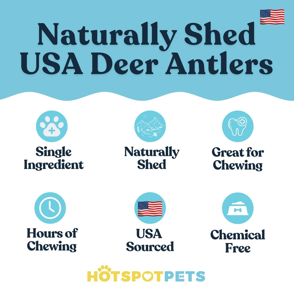 Hotspot Pets deer antler chews 4-7 inches for large playtime