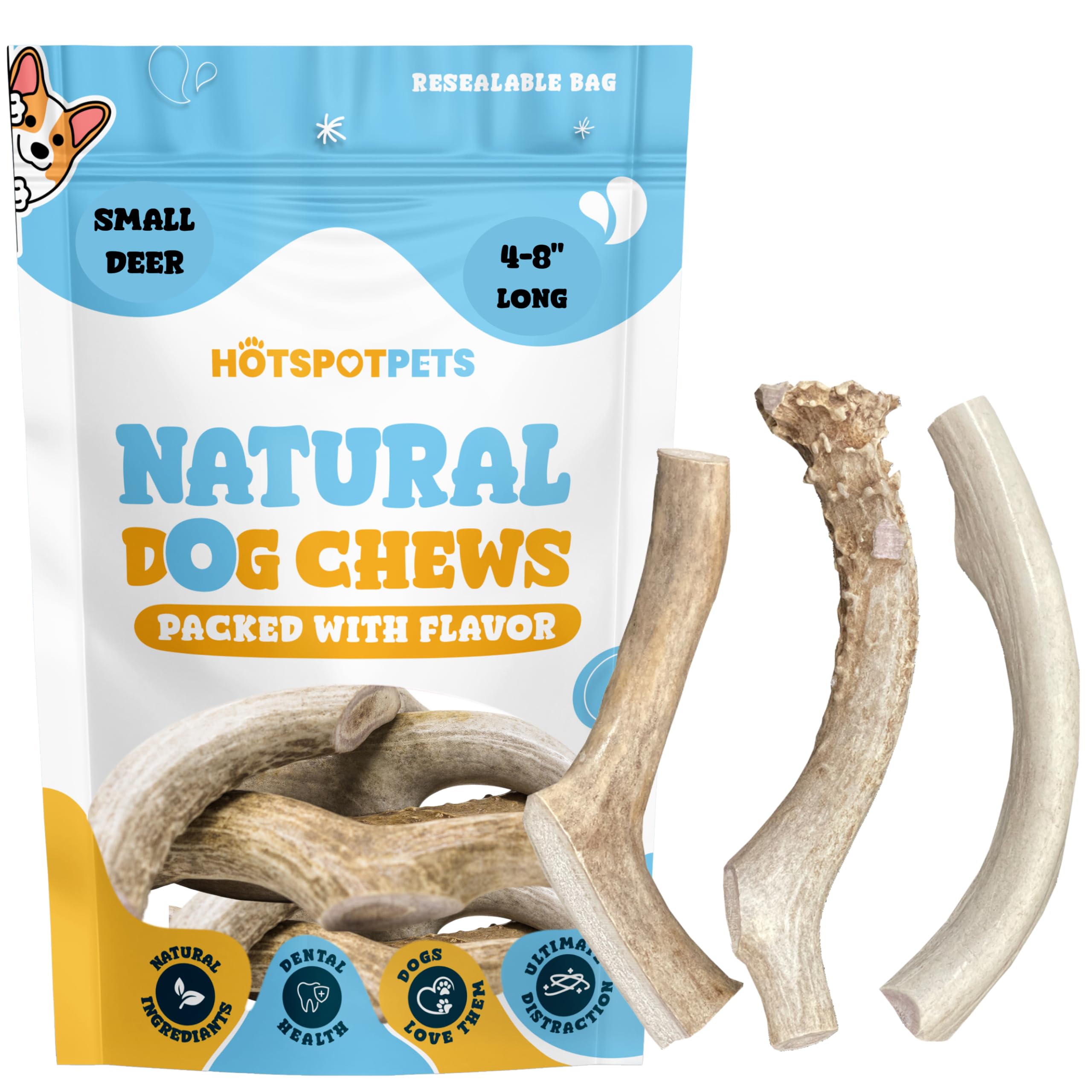 Hotspot Pets dog chewing action with deer antler chew