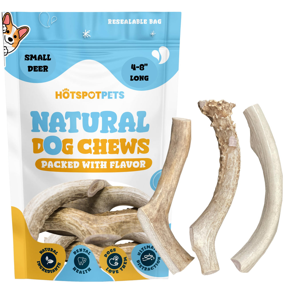 Hotspot Pets dog chewing action with deer antler chew