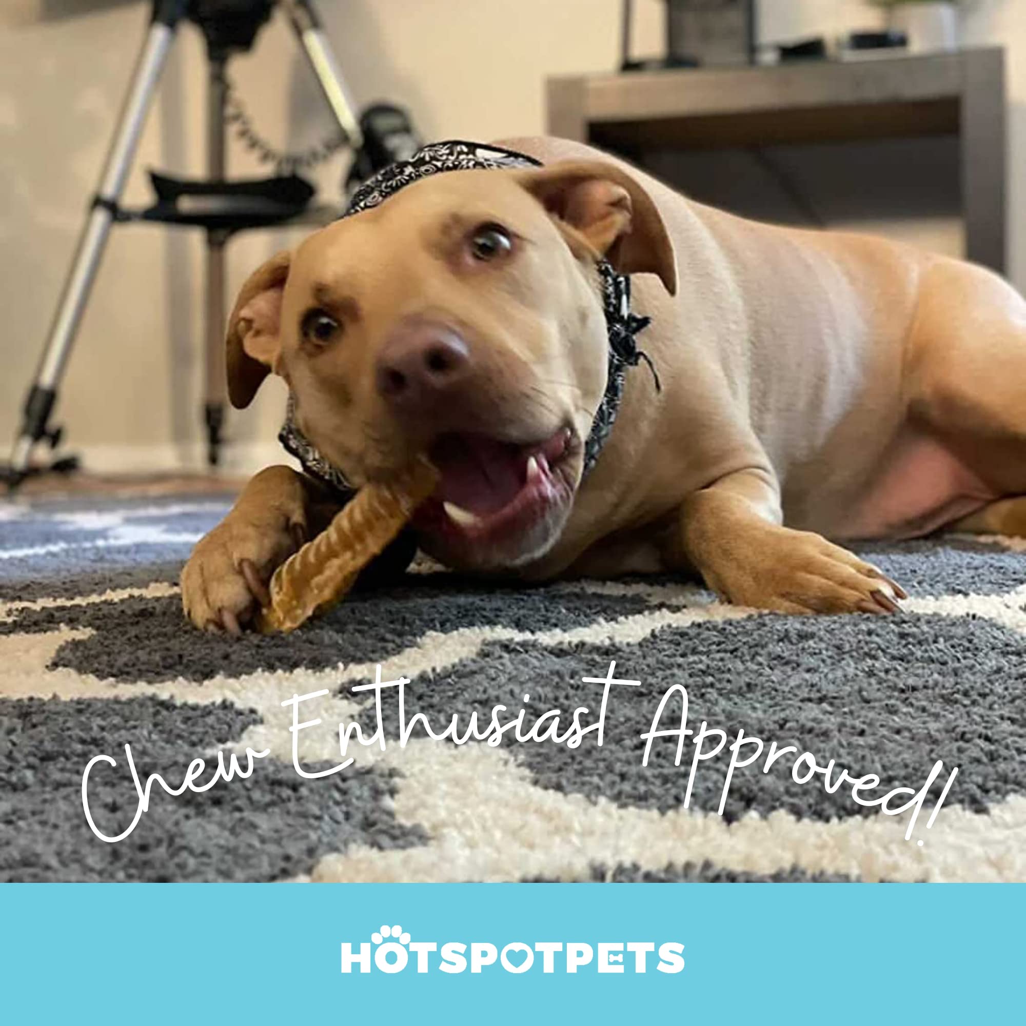 Hotspot Pets family-owned brand: all-natural treats with satisfaction promise