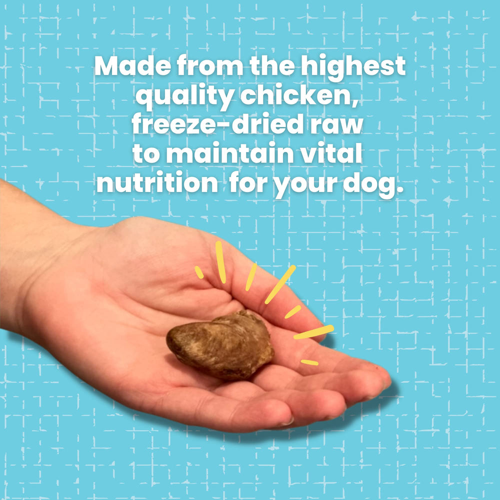 Hotspot Pets chicken hearts served as a snack during home training.