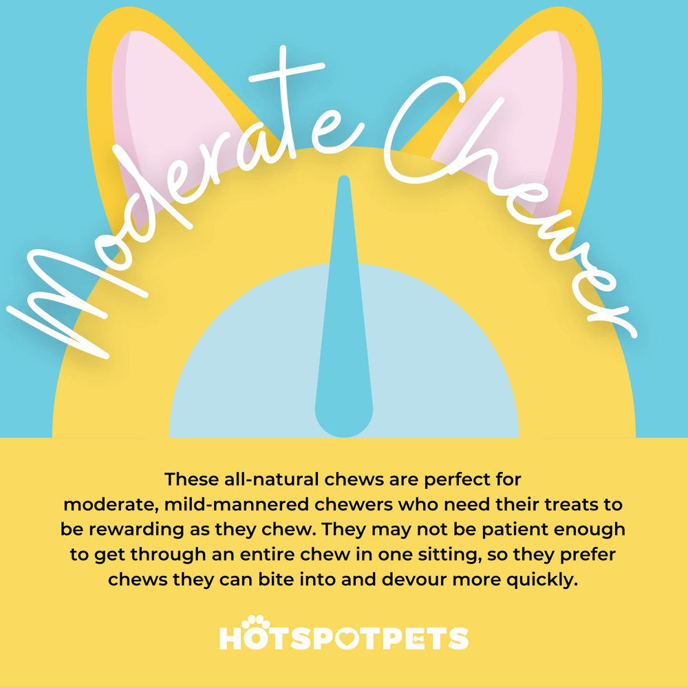 Hotspot Pets glucosamine chondroitin beef trachea: protein-packed snack may aid joint health