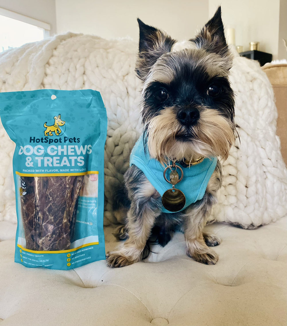 Hotspot Pets 6-inch beef esophagus treats shown for reward-friendly chew sessions