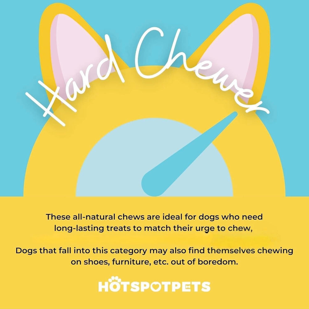 Hotspot Pets large-breed dog chews for strong chewers.