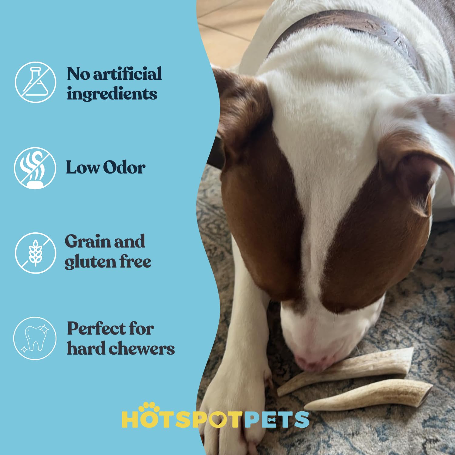 Hotspot Pets naturally shed deer antler detail highlights sustainability