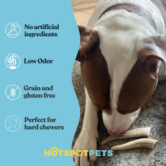 Hotspot Pets naturally shed deer antler detail highlights sustainability