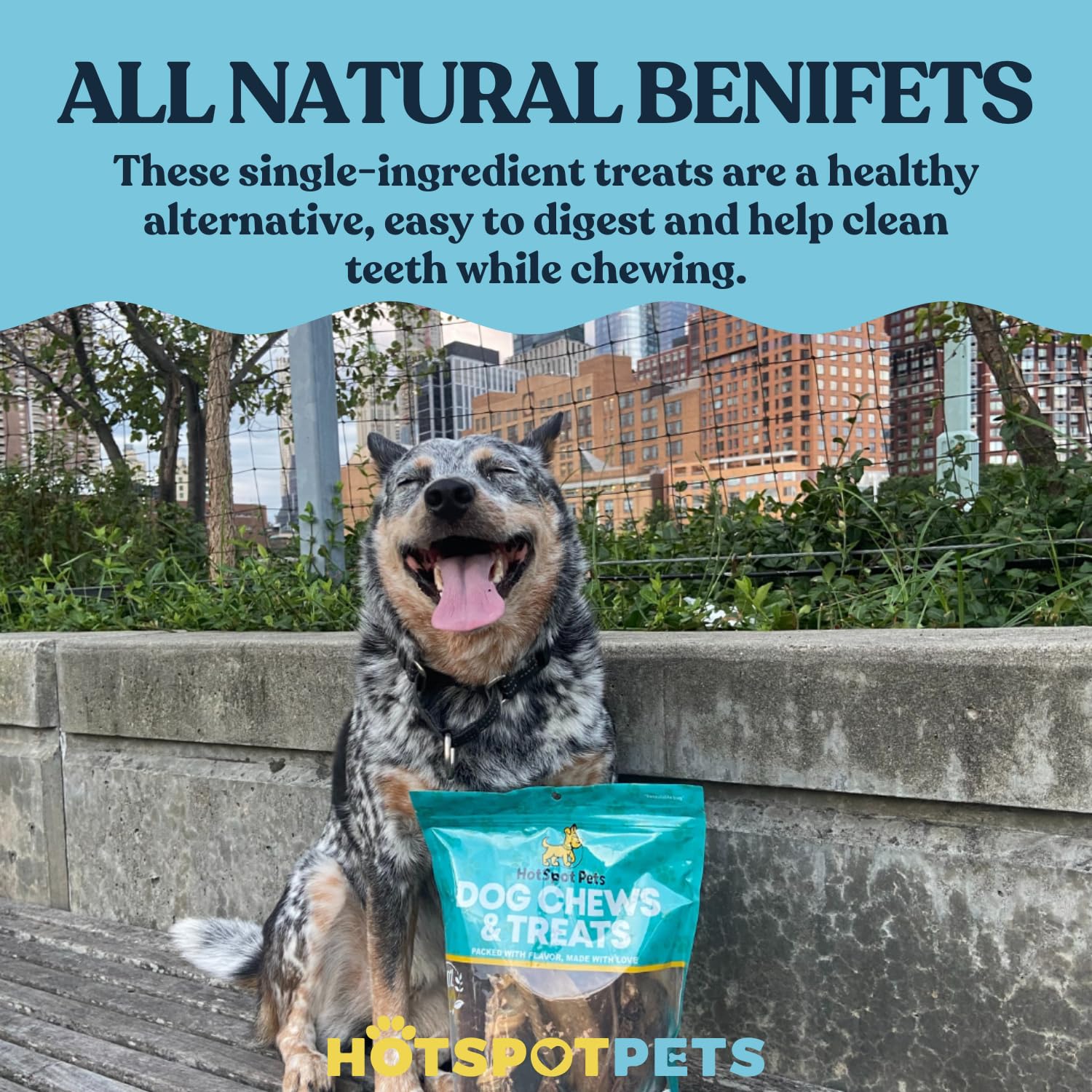 Hotspot Pets dental-friendly pig ears—jaw exercise and mouth-friendly chewing.