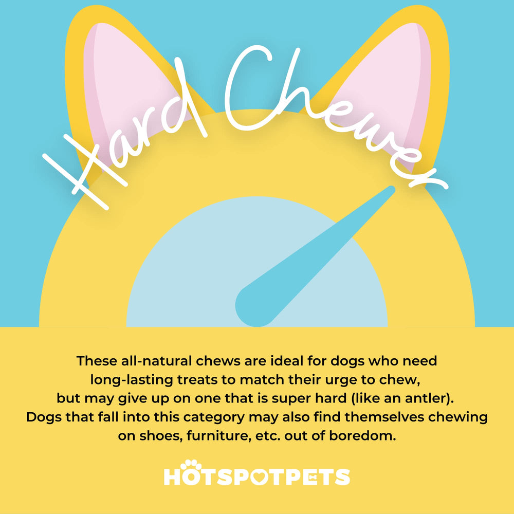Hotspot Pets rawhide detail demonstrates material supporting tooth hygiene and gum care